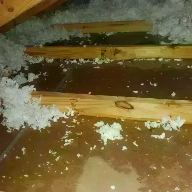 Attic Water Damage in Orange City, FL