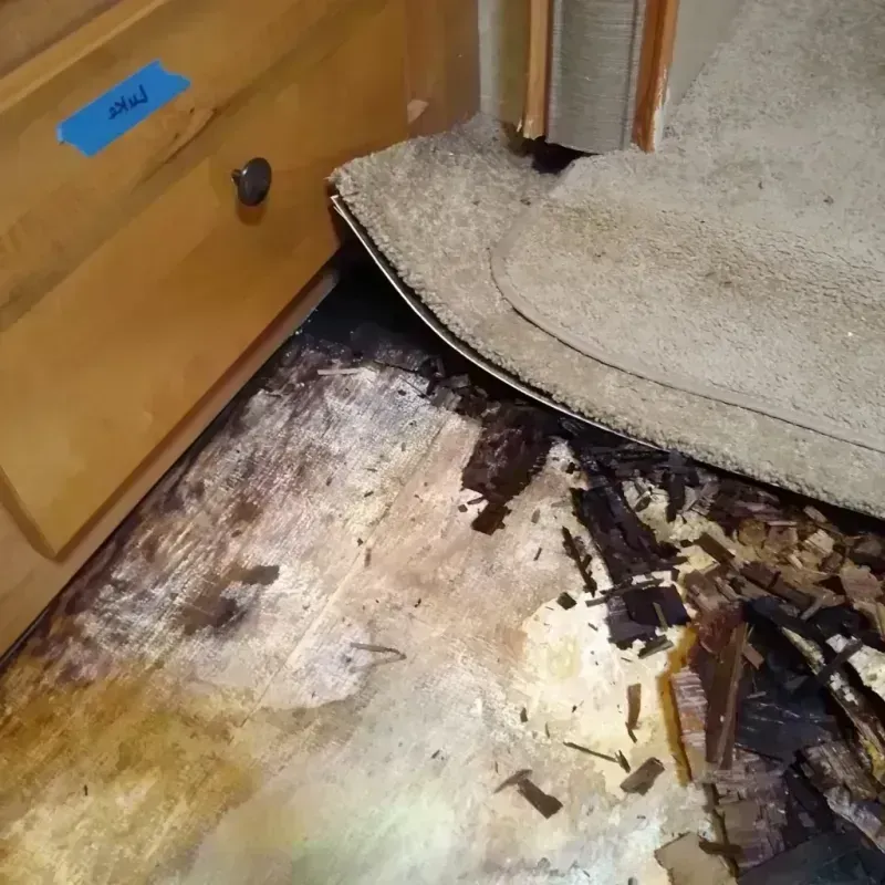 Wood Floor Water Damage in Orange City, FL